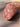 Close-up slice of white truffle salami showing marbled texture and truffle pieces